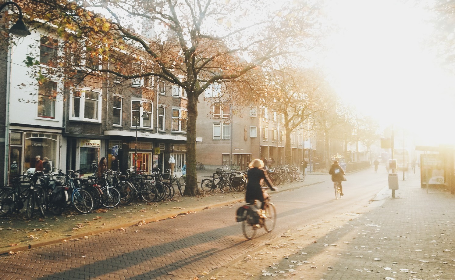 Sunny Neighborhood With A Cyclist In Delft The Netherlands T20 Yrzgo9