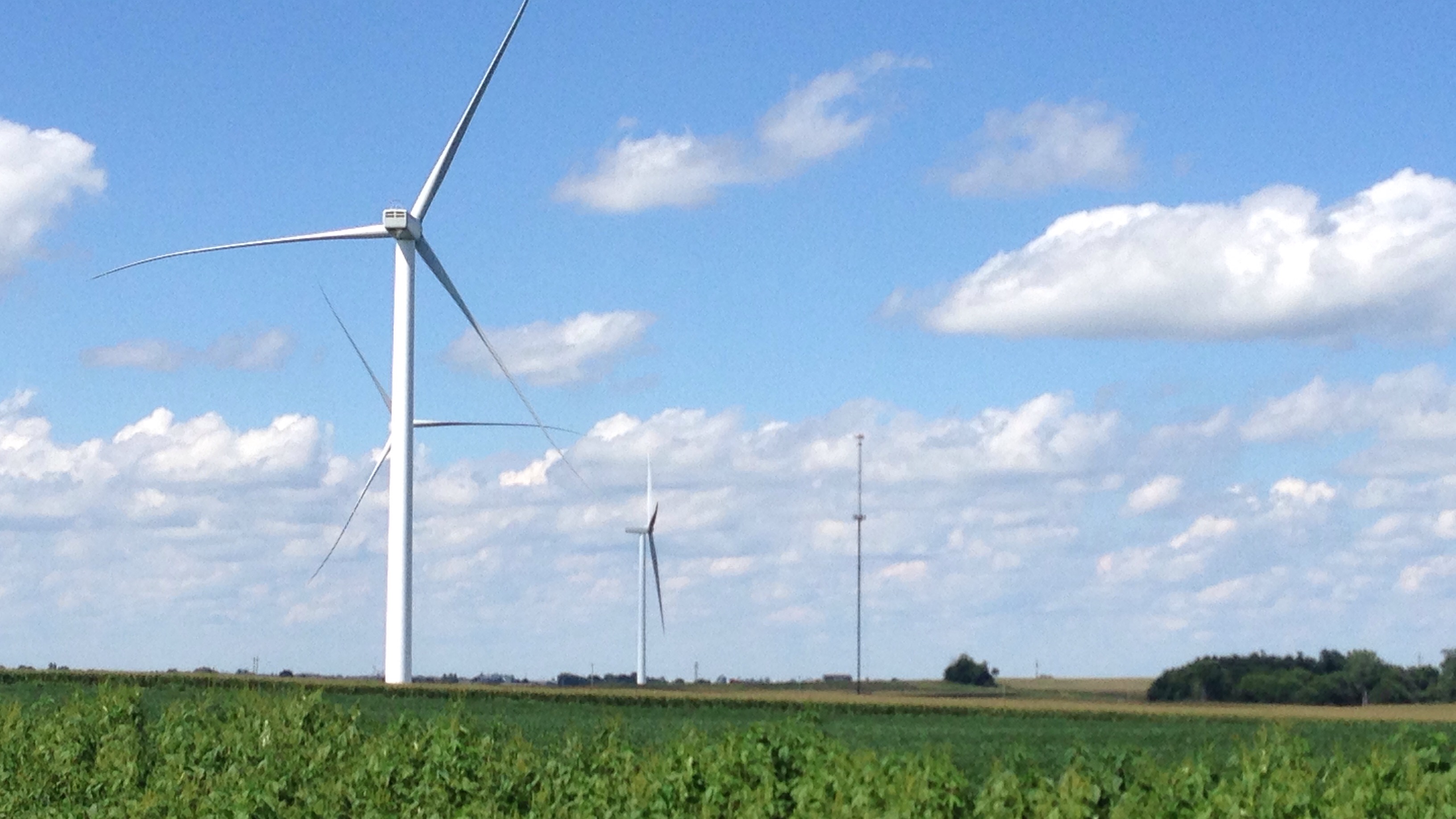 Windmolens in een weiland