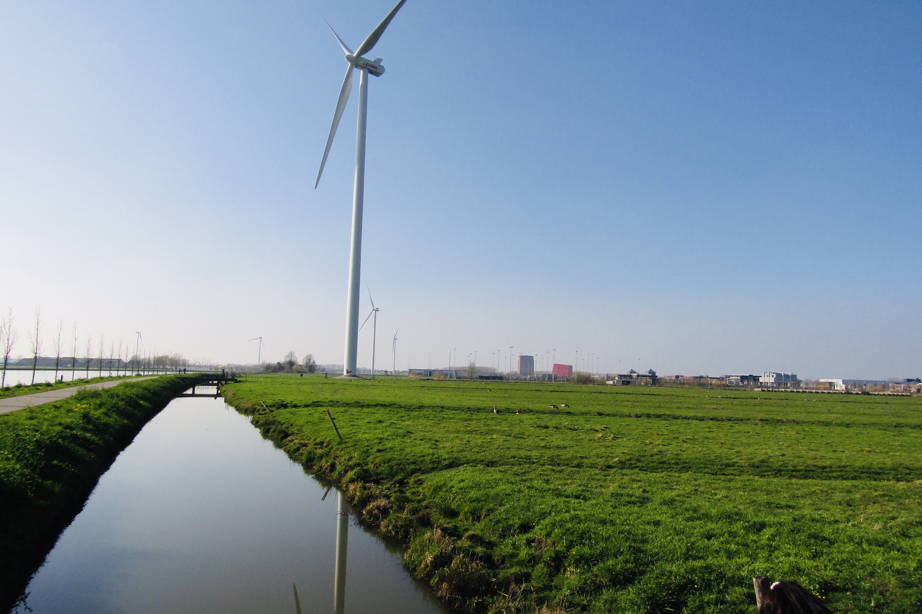 Een windmolen in een weiland naast een sloot