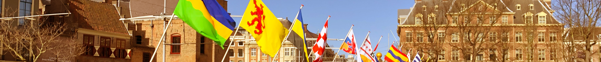 Provincievlaggen Buitenhof Warmte Filter