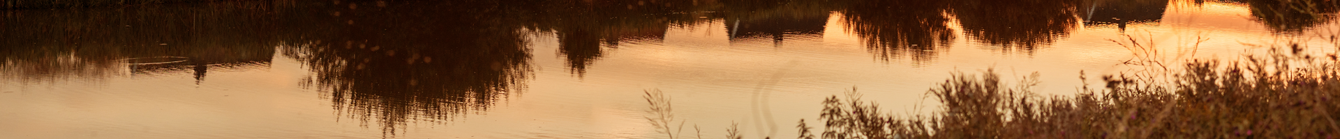 Een rij huizen aan het water bij zonsondergang