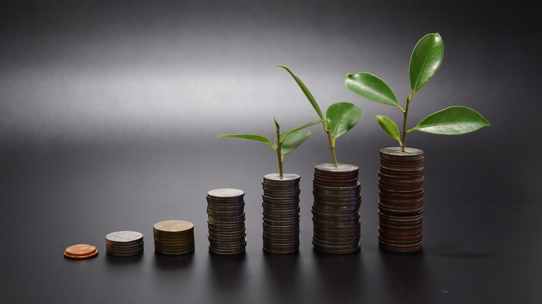 Investment T20 8B4lyz