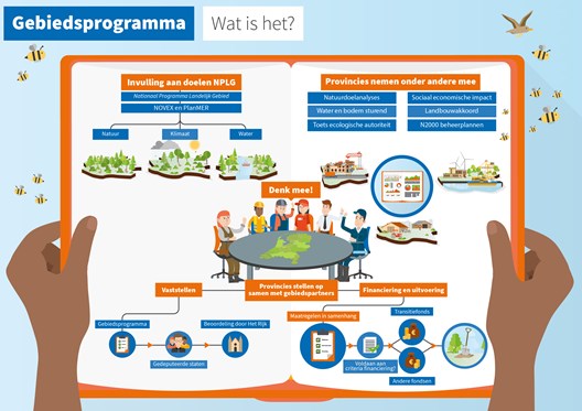 Infographic gebiedsprogramma