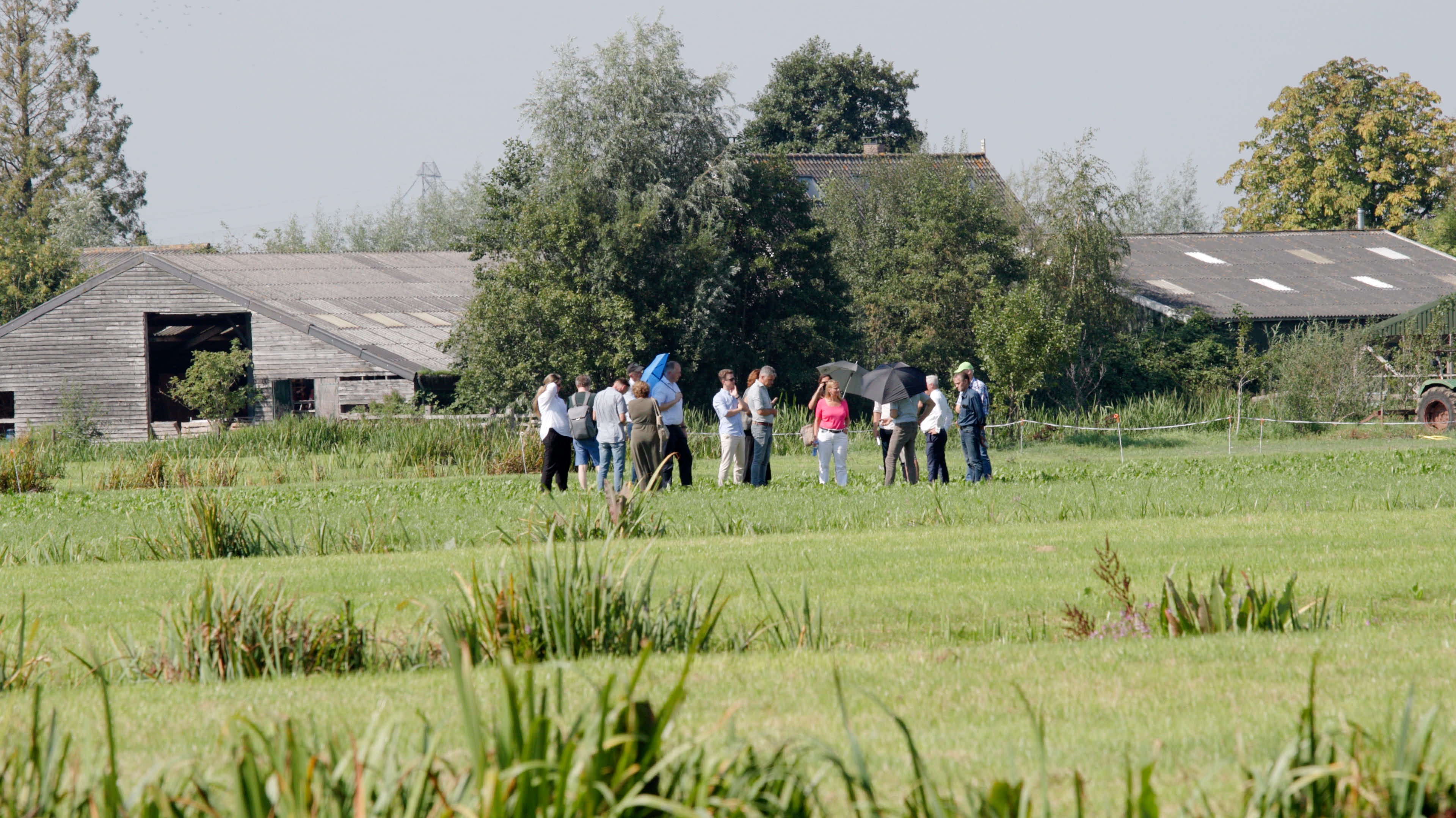 GROEP IN WEILAND GEDEPUTEERDEN ZUID HOLLAND STOLWIJK MELKVEEHOUDER PROEVEN WATERINFILTRATIE KLEI IN VEEN