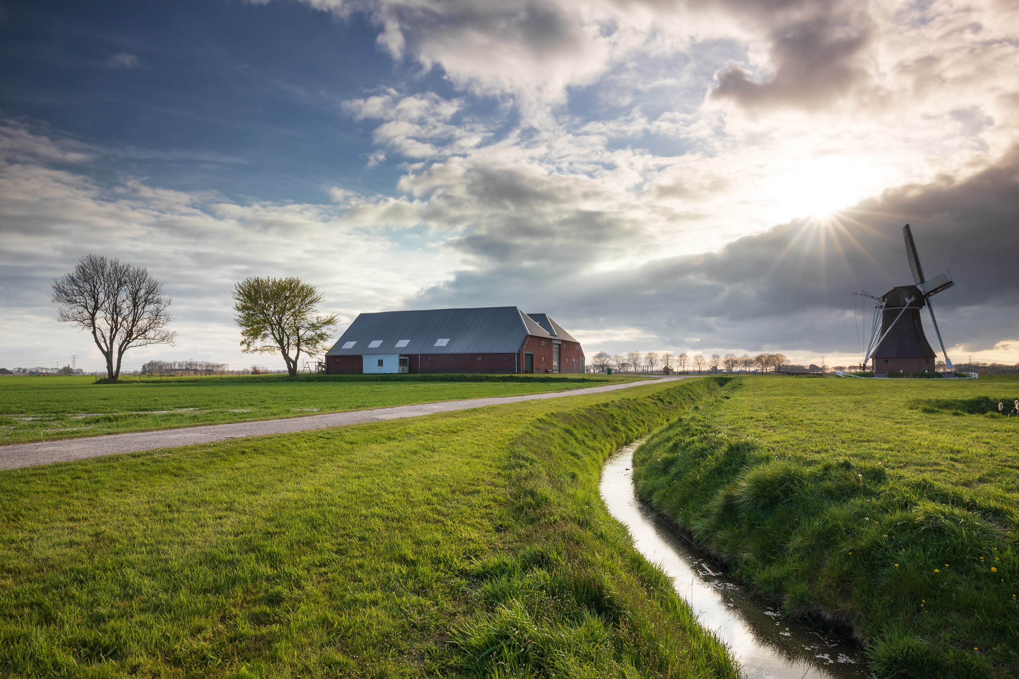 Sunshine Over Dutch Farmland With Windmill 2023 11 27 05 22 24 Utc