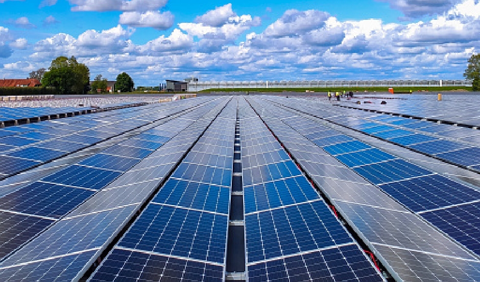 Een veld met zonnepanelen