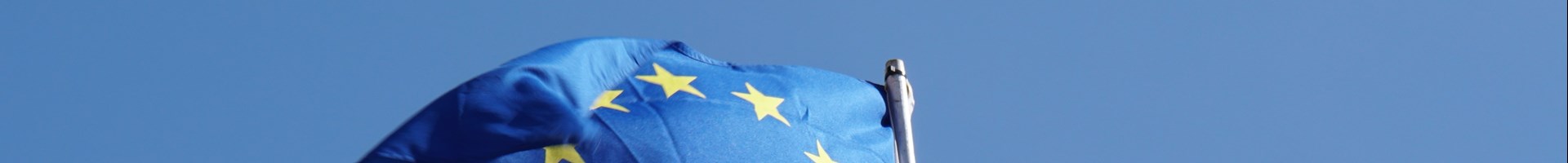 European Union DULNECT
