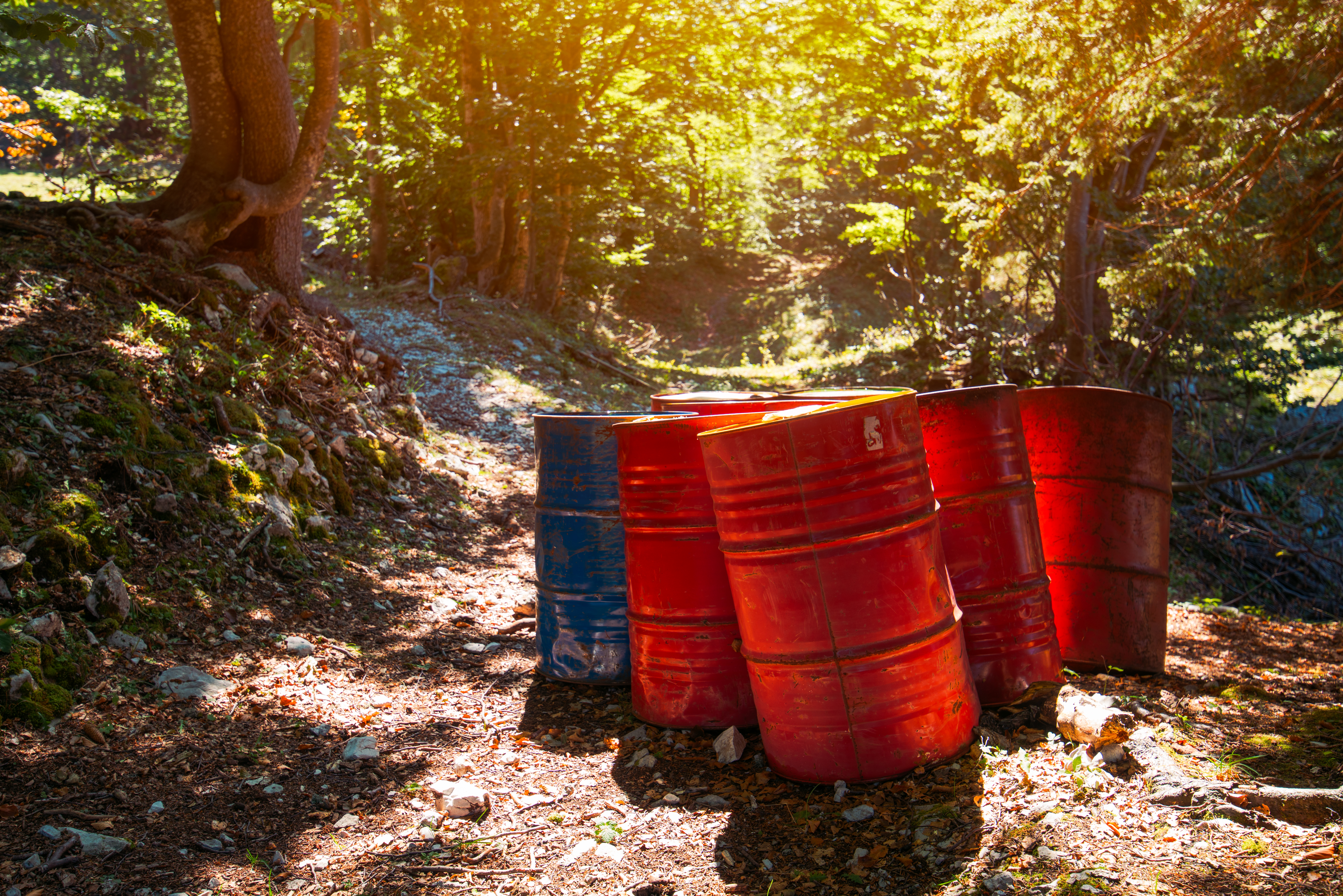 Toxic Waste Barrels In The Forest 2021 08 26 23 02 48 Utc