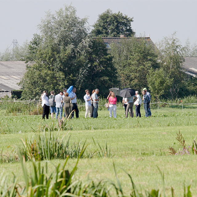 Groep gedeputeerden in weiland