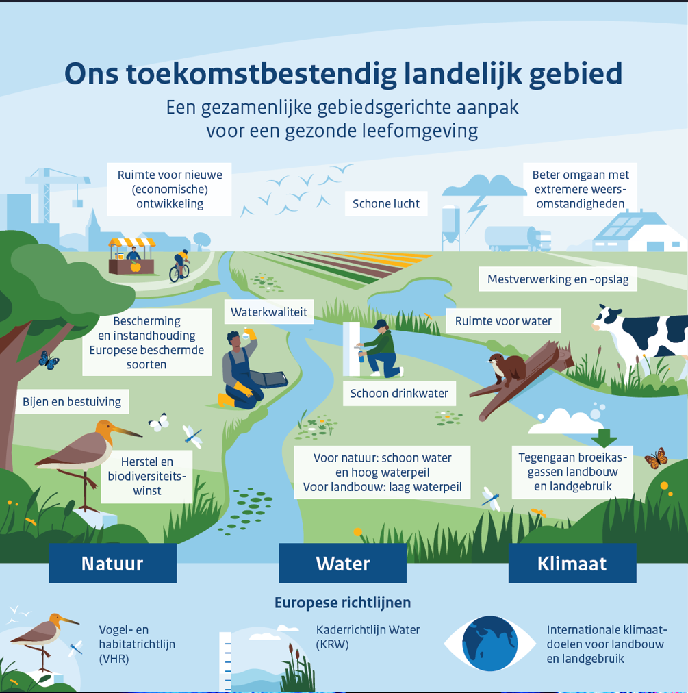 De afbeelding schetst een integrale visie voor een toekomstbestendig landelijk gebied waarbij natuur, water en klimaat in samenhang worden aangepakt. De kernboodschap: Natuur: herstel van biodiversiteit, bescherming van soorten, en ondersteuning van bestuivers. Water: schoon water, goed waterbeheer (hoog peil voor natuur, laag voor landbouw), bescherming van drinkwater, en ruimte voor water bij extreme omstandigheden. Klimaat: verminderen van broeikasgassen uit landbouw en landgebruik, mestverwerking, en schone lucht. Economische en maatschappelijke waarde: ruimte voor nieuwe ontwikkelingen en leefbaarheid op het platteland. De aanpak koppelt Europese richtlijnen (Vogel- en Habitatrichtlijn, Kaderrichtlijn Water) en internationale klimaatdoelen aan lokale maatregelen, met als doel een gezonde, veerkrachtige leefomgeving.