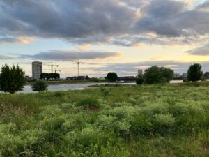 Ruimtelijke ontwikkeling